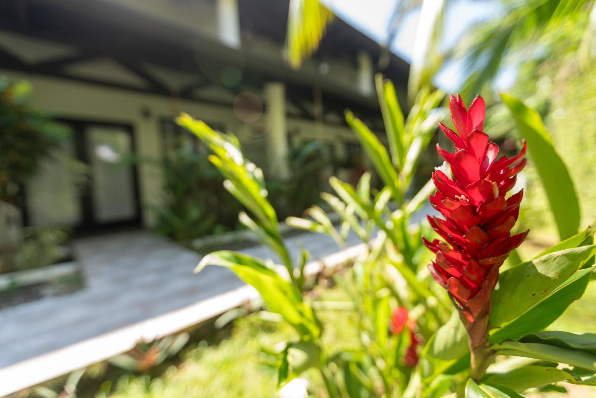 Condiminium Villas Mymosa Manuel Antonio Zewnętrze zdjęcie
